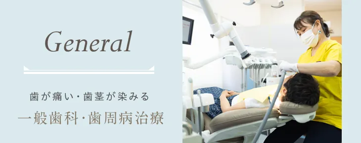 一般歯科・歯周病治療
